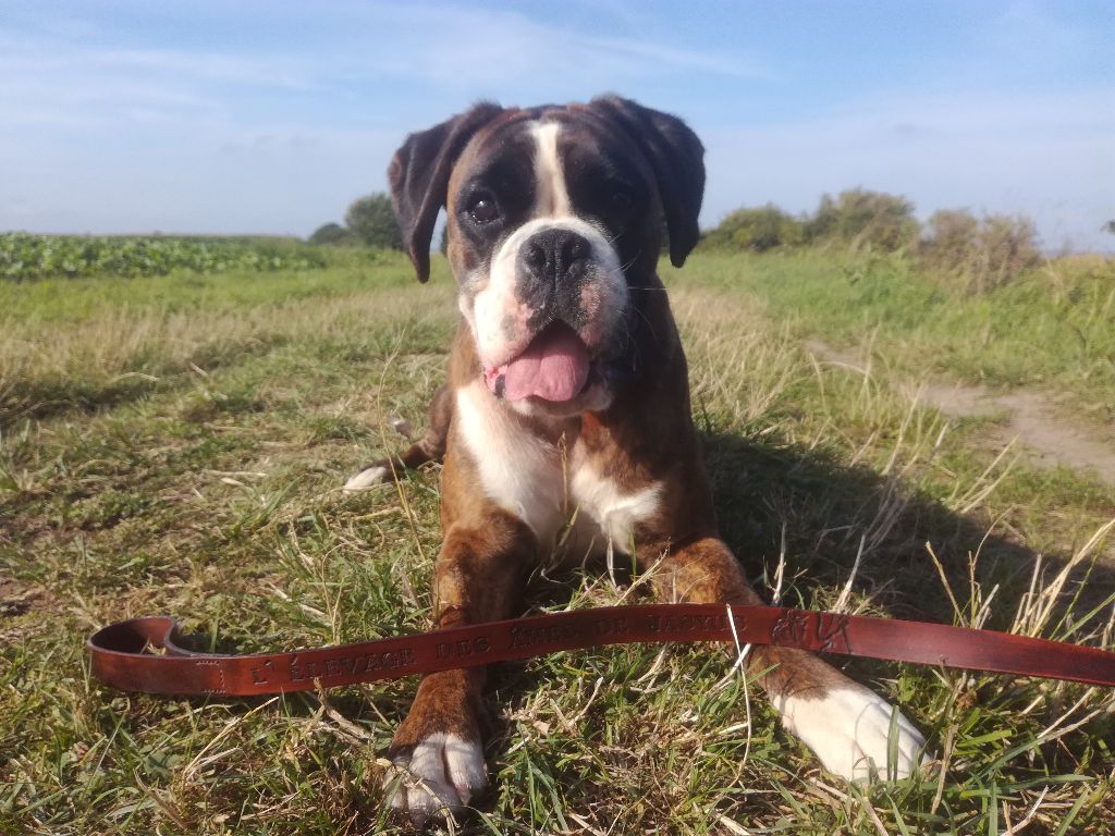 Lauryn Du Domaine Des Audes