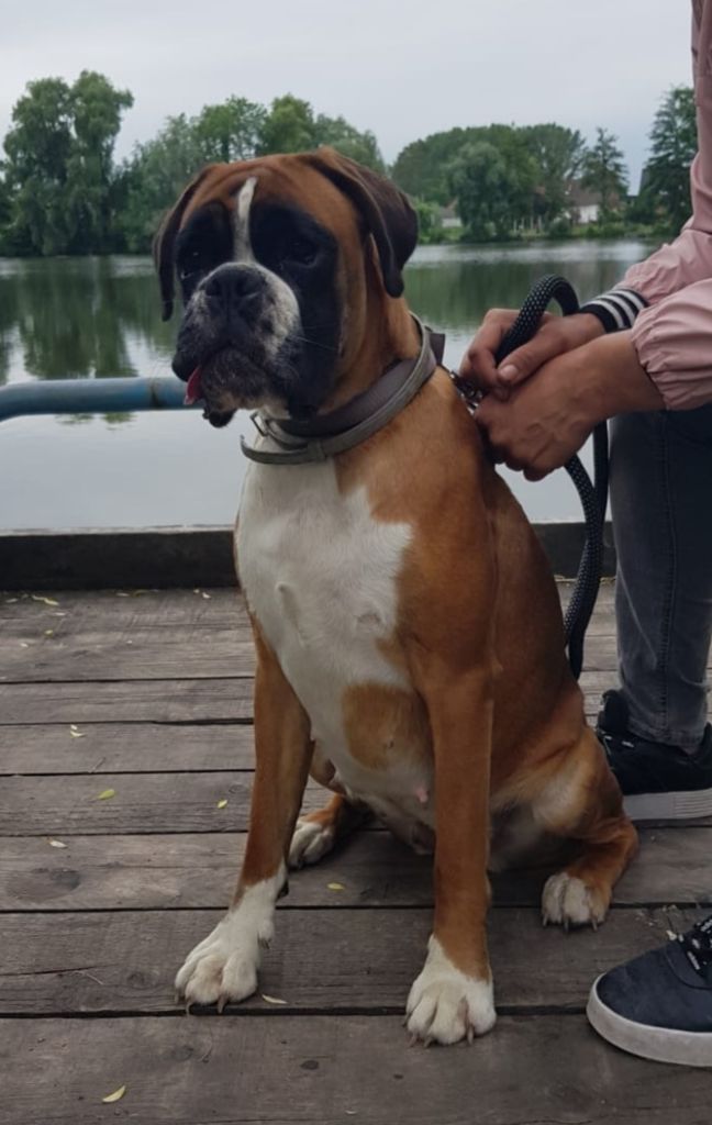 Russian roulette Du Domaine Des Audes